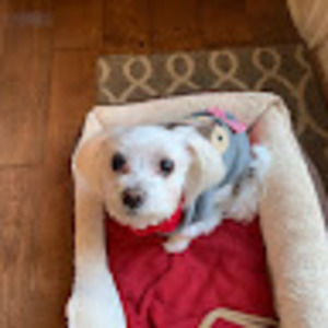 Meet your Posher, Jong